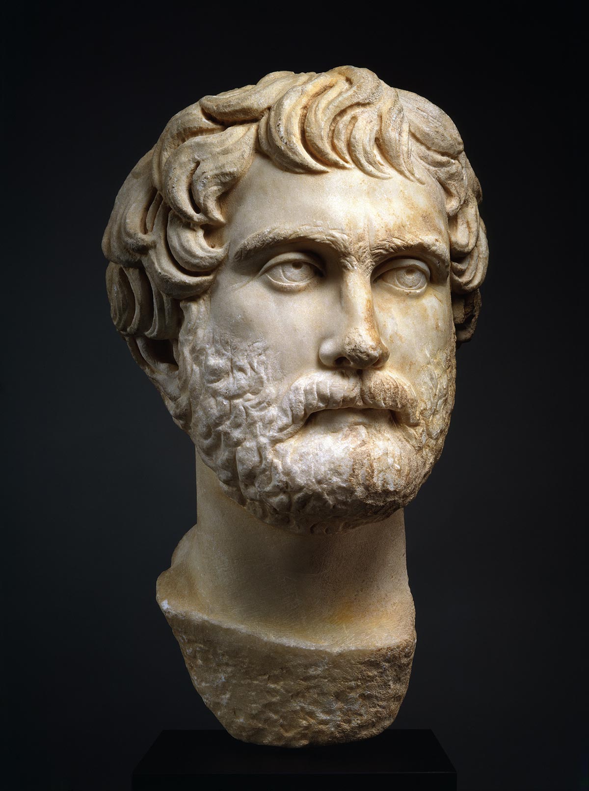 Marble bust of a man with a beard and short curly hair