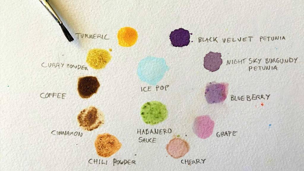 Color wheel of different foods and spices