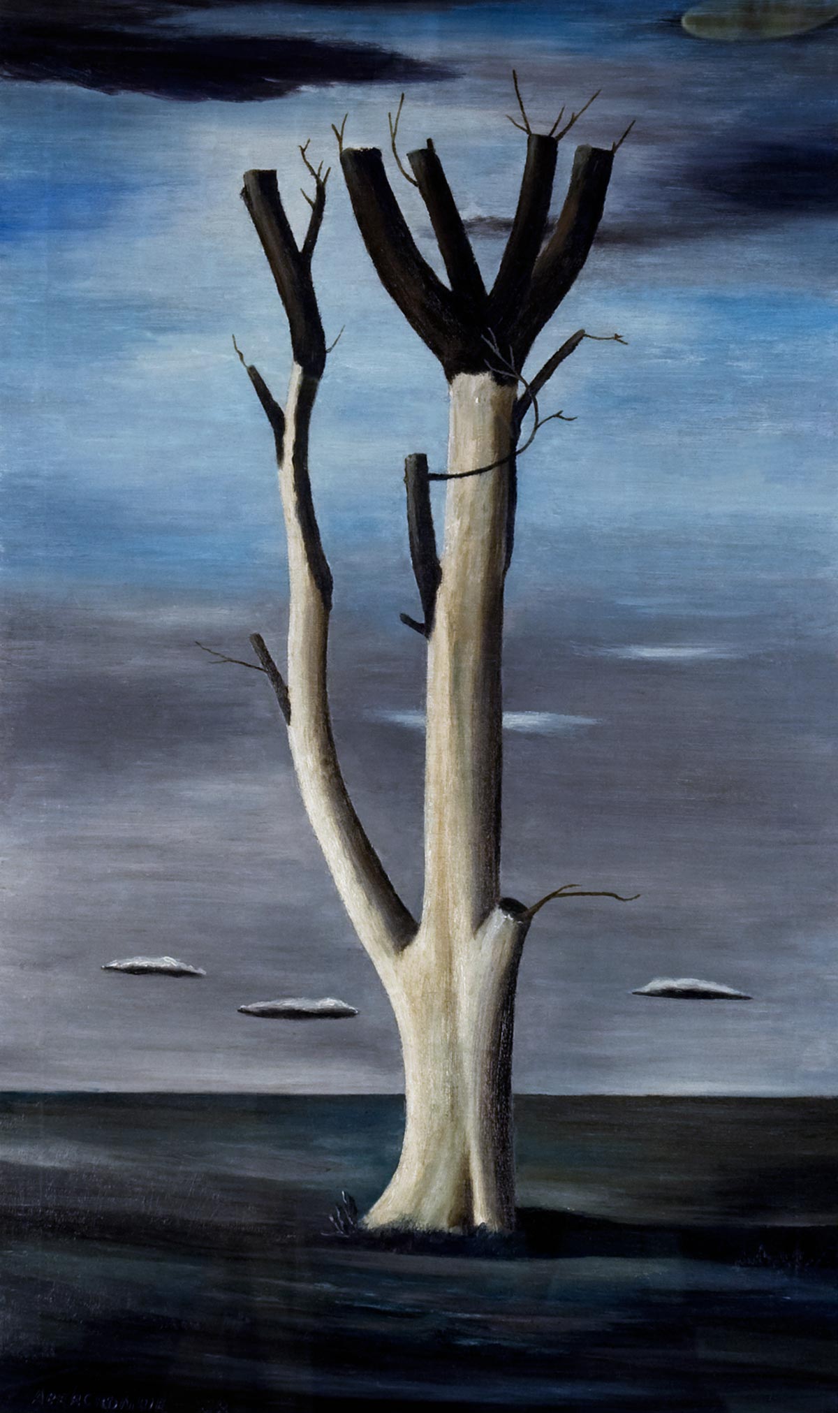 Tree at Aledo by Gertrude Abercrombie